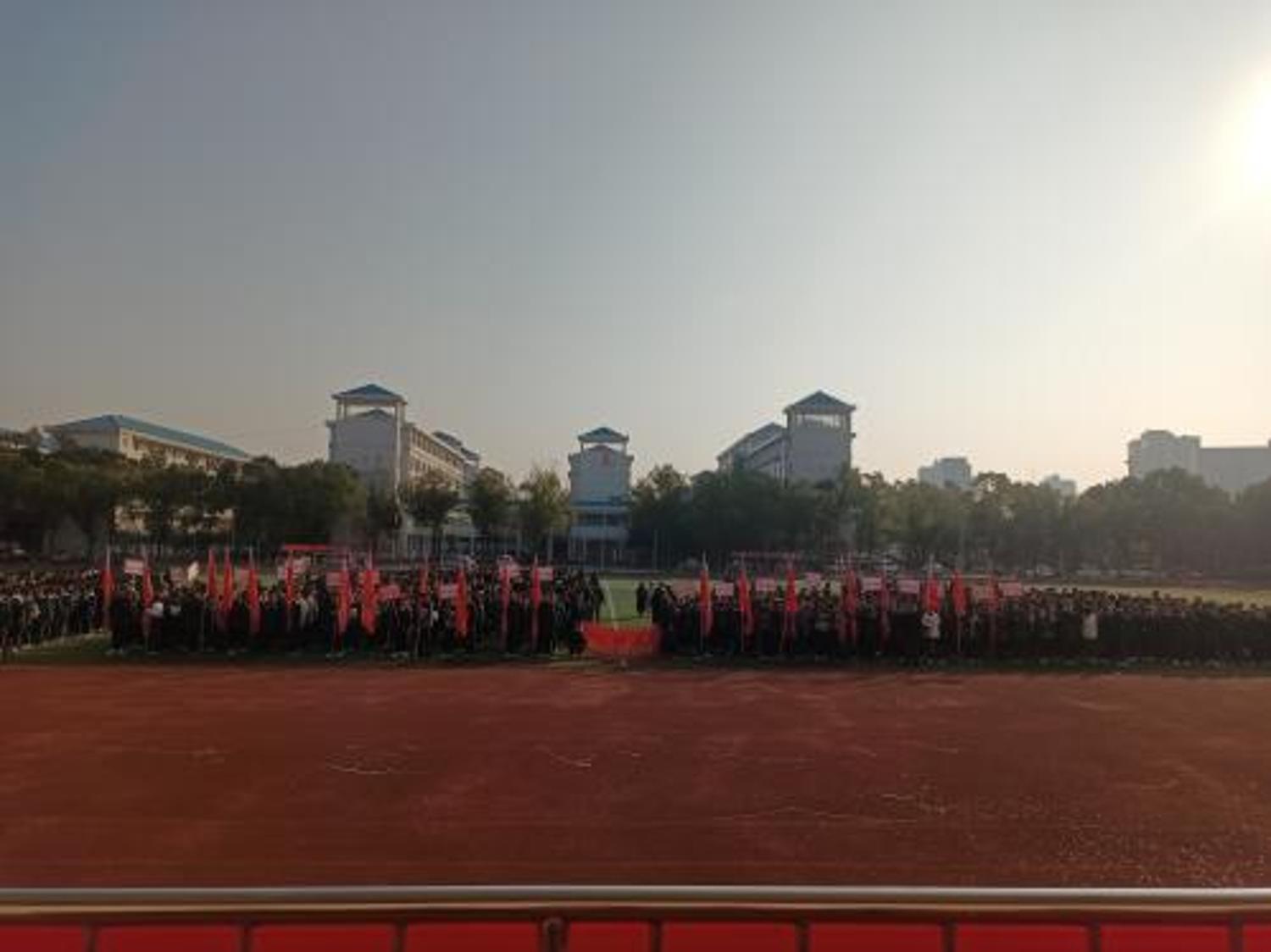 67524c19c722a.jpg
